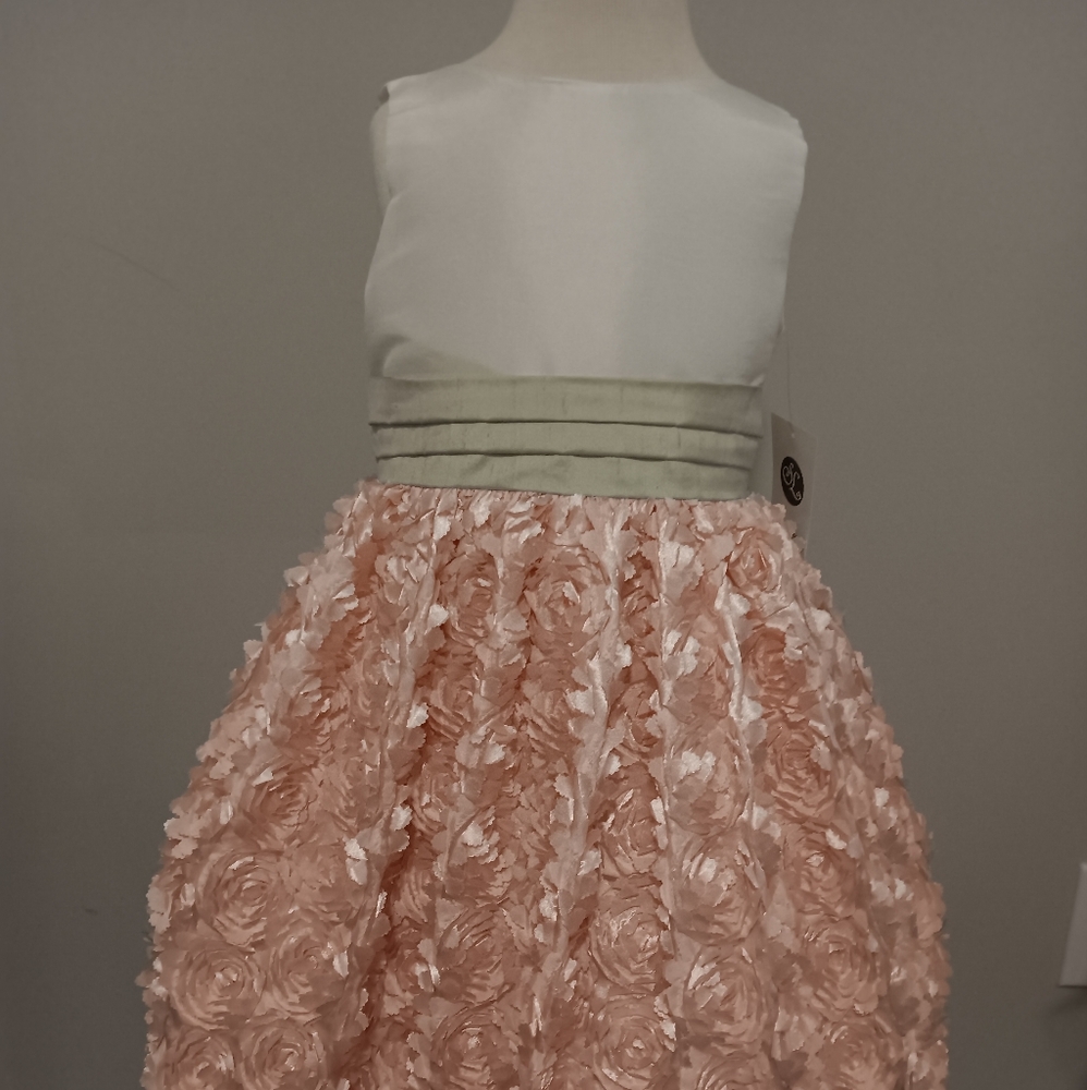 Suzanne Lively Girl's Special occasion dress size 4